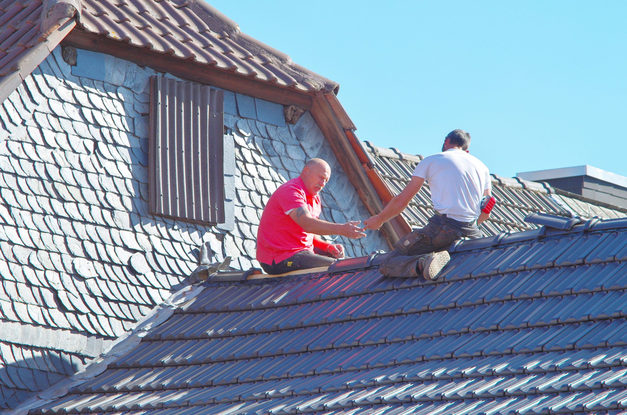 Professional Roofing Services